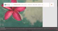 Desktop Screenshot of olcinagroup.com